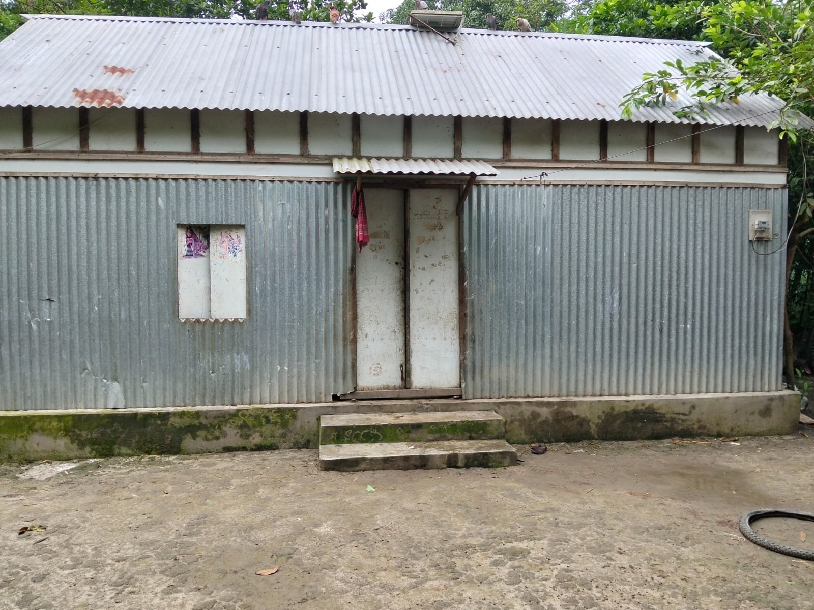 Corrugated tin house with concrete steps leading up to its double door.